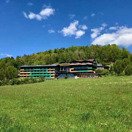 Natura Hotel Bodenmais - Inkl Soft- Und Heissgetraenkeflat Eksteriør billede