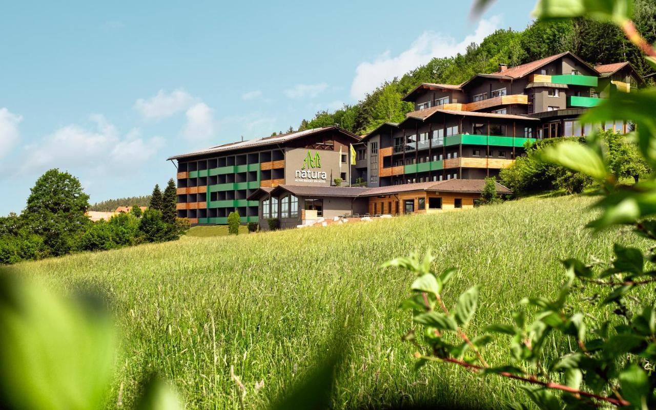 Natura Hotel Bodenmais - Inkl Soft- Und Heissgetraenkeflat Eksteriør billede